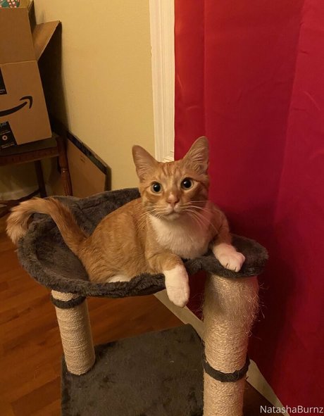 celebrity nude onlyfans pornos picture