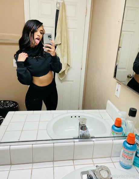 Priscillawtff model top img