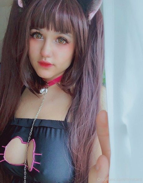 Niniitard best model image