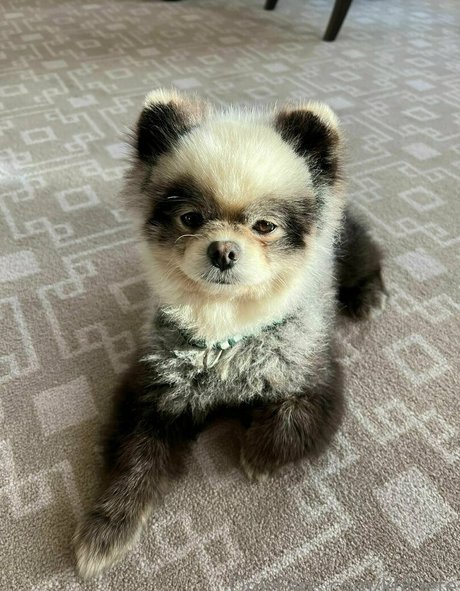 khloete pornstar high quality picture