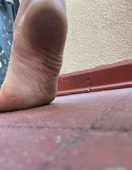 val acanthus pornographic star archive