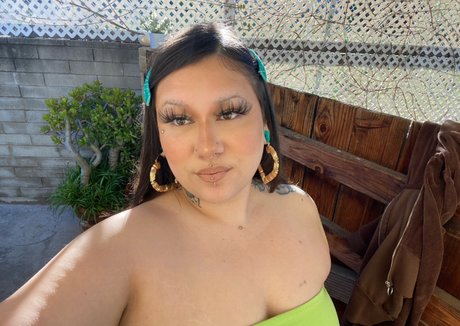 Hoethia beautiful star archive