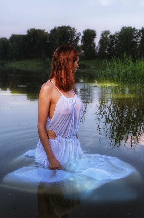 pollinared star perfect gallery