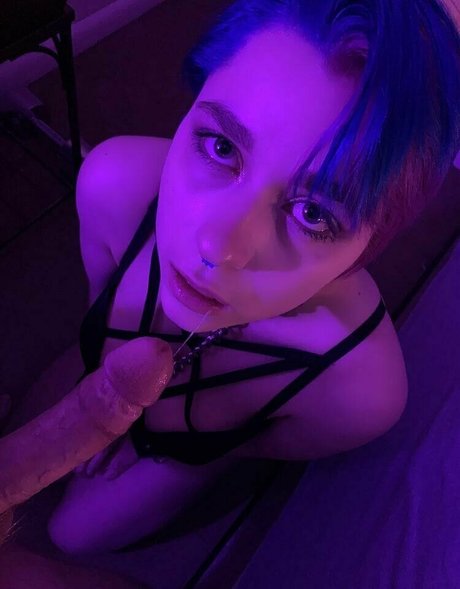 senchafox free star hot gallery