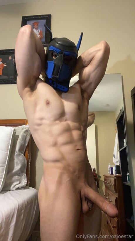 ozjoestar perfect model archive