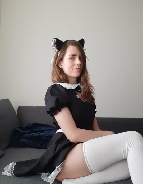 dovelark pretty star gallery