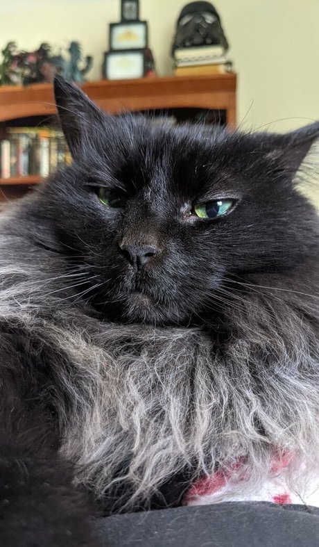 mom anal onlyfans sexy naked image