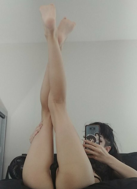 Tricksterkarkat pornstar perfect image