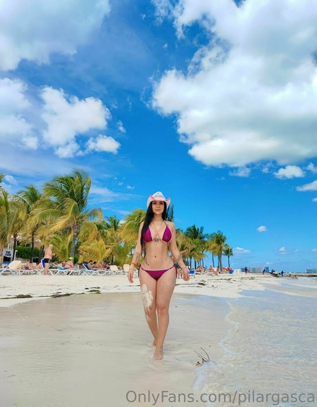 pilargasca beautiful star gallery