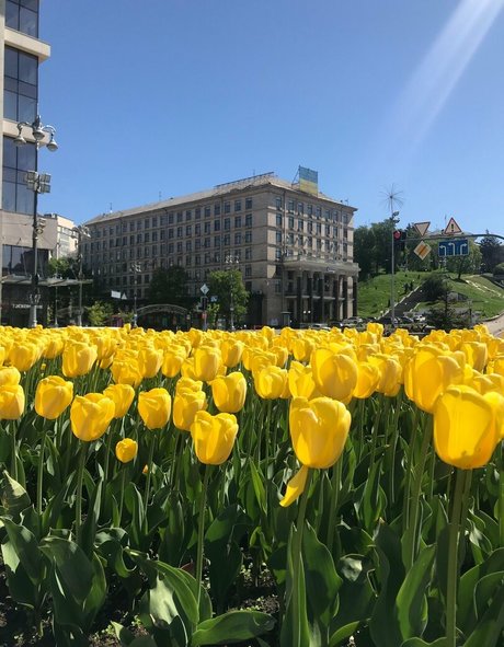 lili babe xxx pornstar images