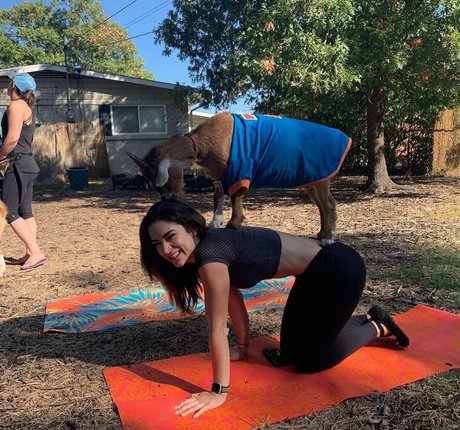 czechm8 hot pornstar image