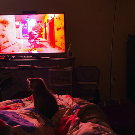 u6926969 hd actress pictures