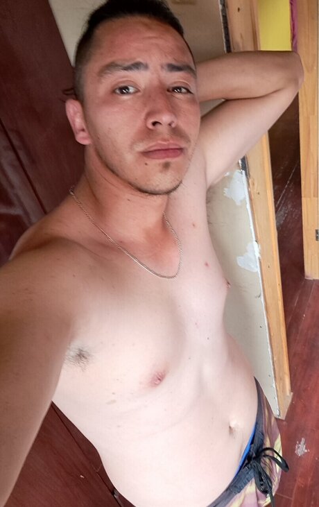 Igna3 1 star adult picture