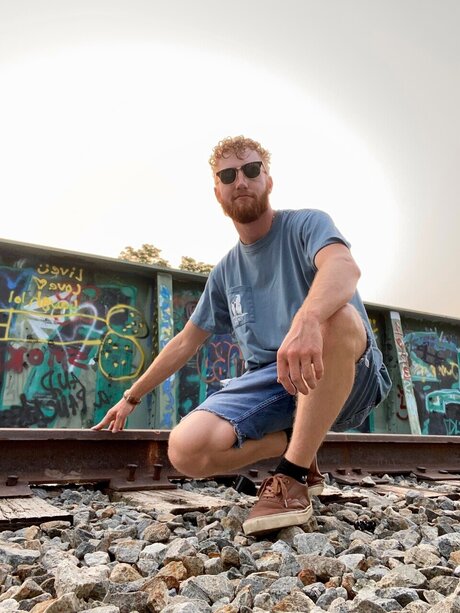 Gingerthing star high quality img