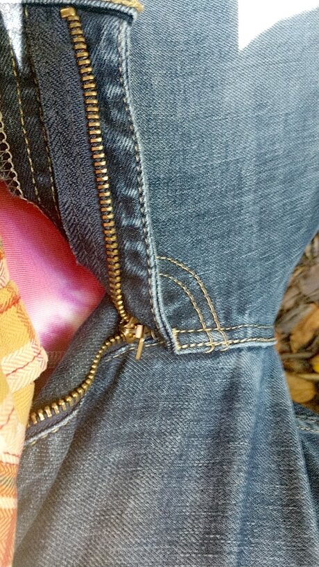 Hamster star art galleries