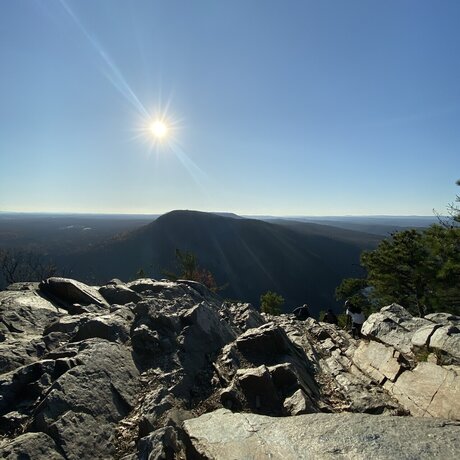 Mr Curve beautiful pornstar photos