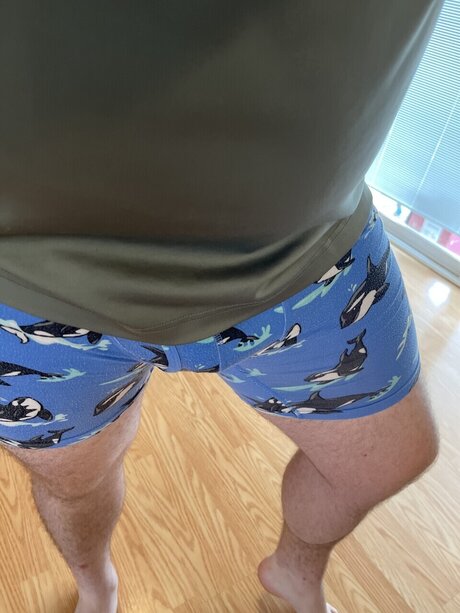 wildinCoyote art star images