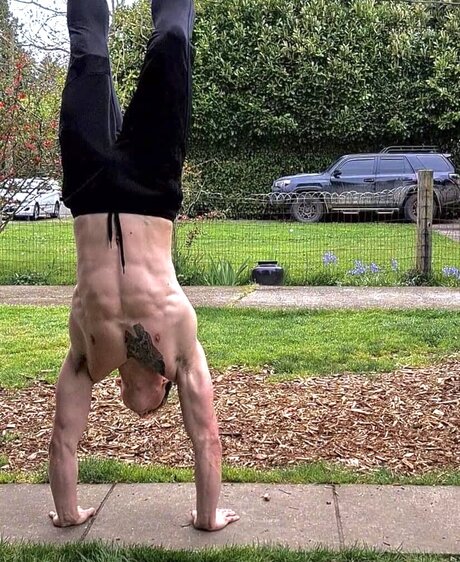 Spartacus model top img