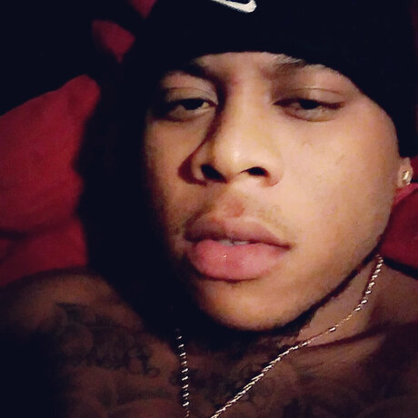 Big Texan top pornstar pictures