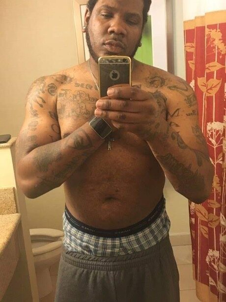 Franko star adult galleries