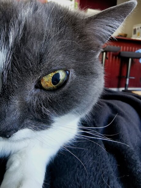 Midna pornstar xxx pic