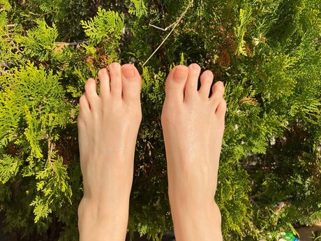 Mol top pornstar img