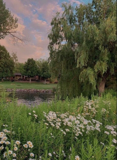 Cxs spxt high quality star pic