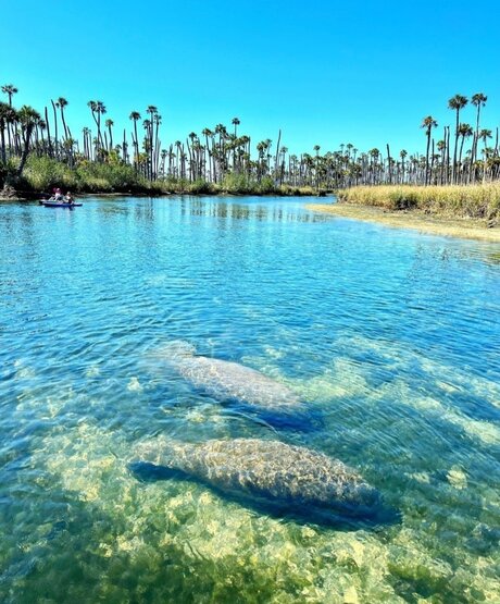 Reneeashley92 high quality model photos