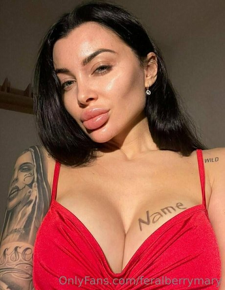 unholy mary pornographic star archive