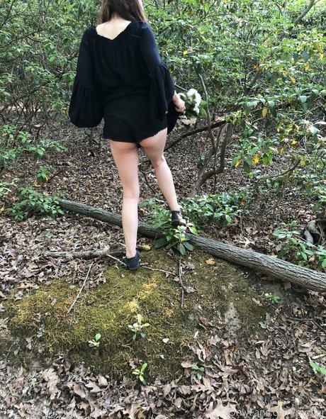 drpipher free xxx pornstar pics