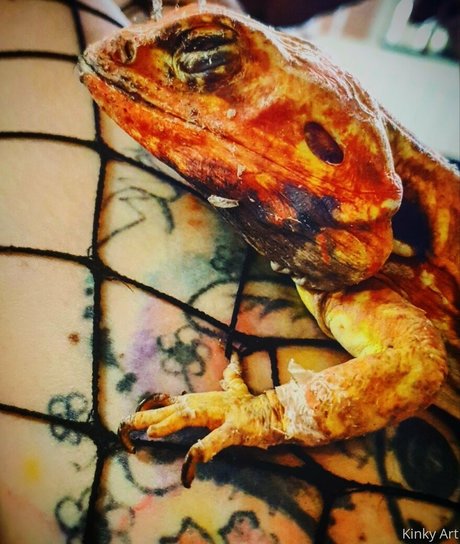 artnvenom nude star images