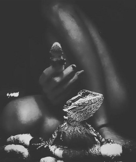 artnvenom sex model img