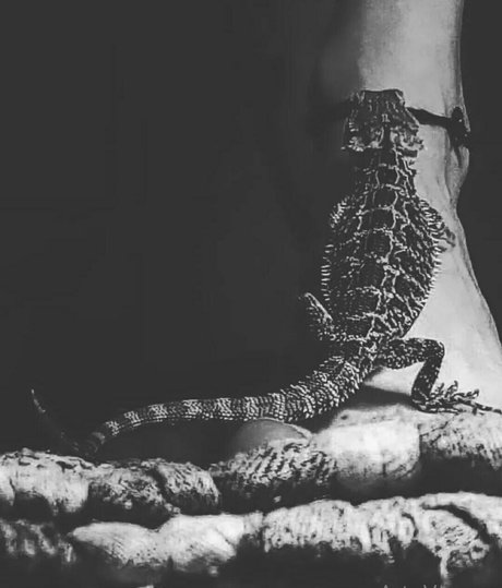 artnvenom pornstar top pics