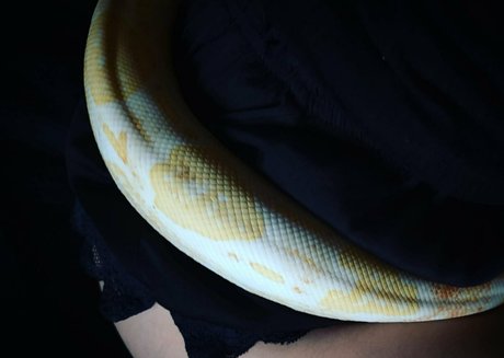 artnvenom xxx actress archive