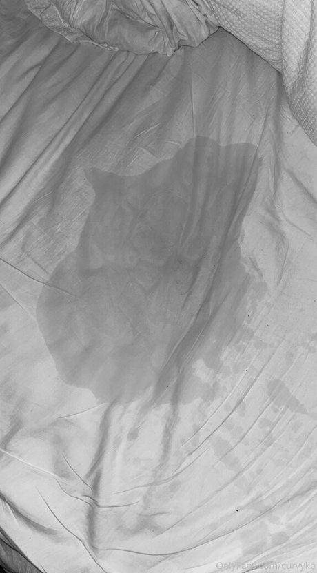 khloe38kk free star archive