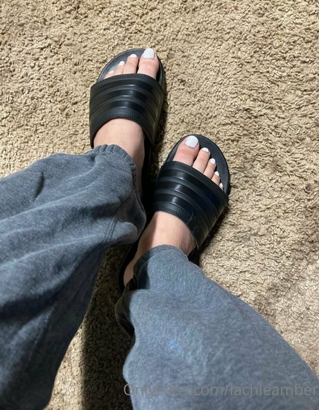 lachleamber perfect star pics