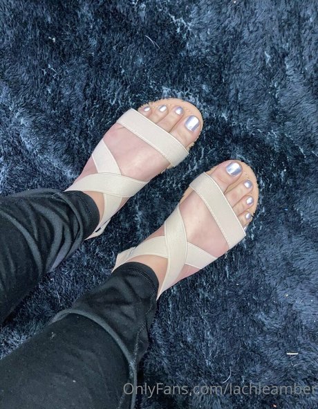 lachleamber nice model gallery