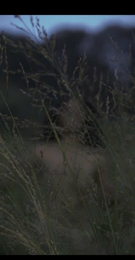 natural pawg onlyfans free xxx photo