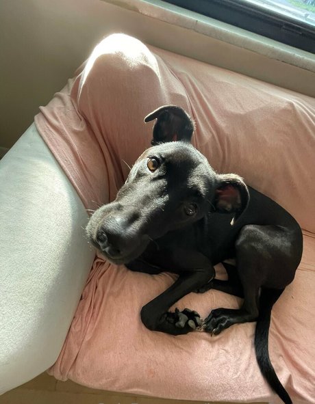 brycesgfkatya pornstar naked pic