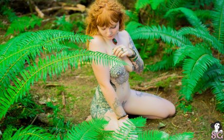 Lilredfoxx star adult photo