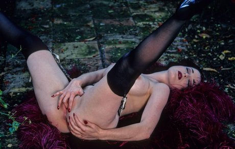 Dita Von Teese xxx star image