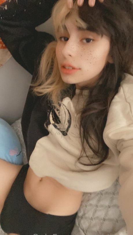 Shiruwu star picture