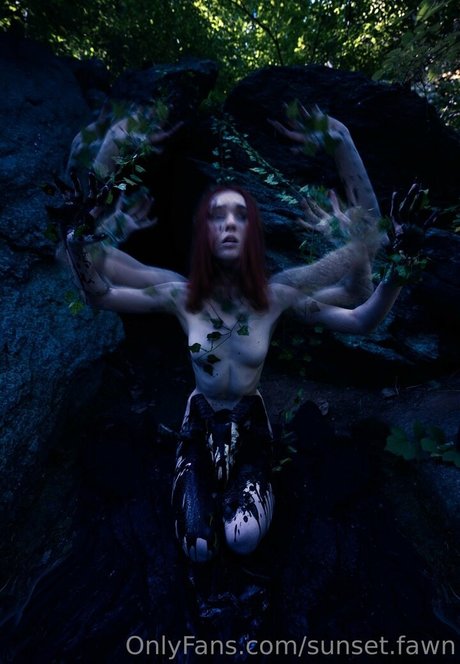 sunset fawn erotic pornstar galleries