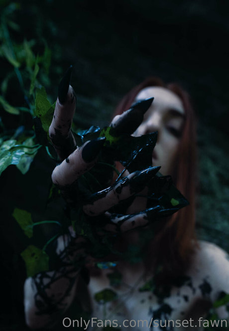 sunset fawn pornstar art archive