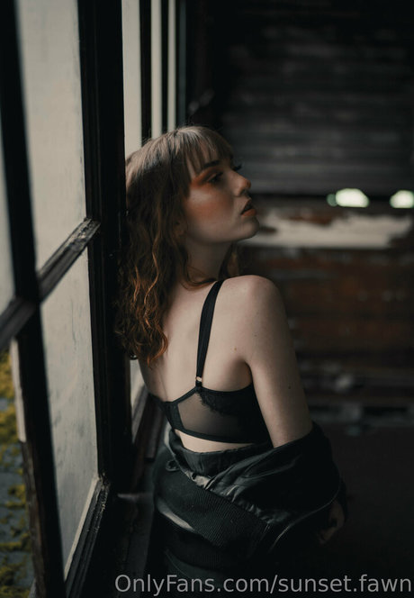 sunset fawn art star pic