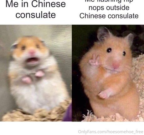 melissa cho chang free naked star images