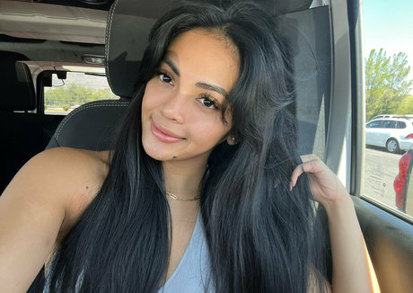 mslonghair star best images