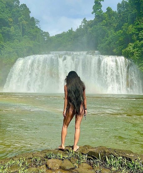 mslonghair model top img