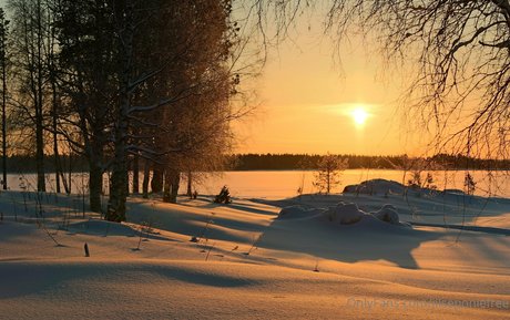 discord free onlyfans hot sexy galleries