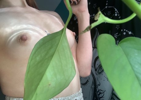 maplemaya pornstar top photo